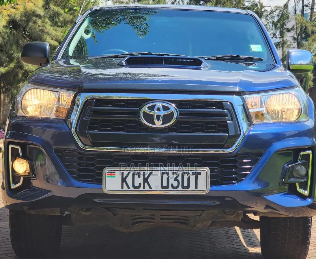 Toyota Hilux 2010 Blue