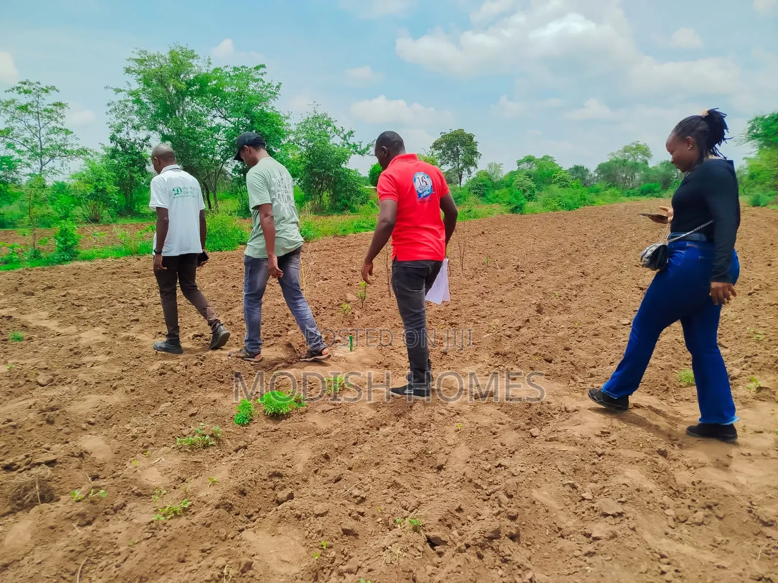 50*100 Fine Gardens Plots Matuu