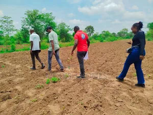 50*100 Fine Gardens Plots Matuu