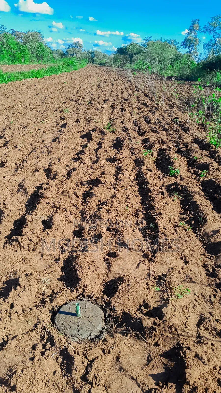50*100 Fine Gardens Plots Matuu