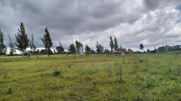 Naromoru 3 Acres