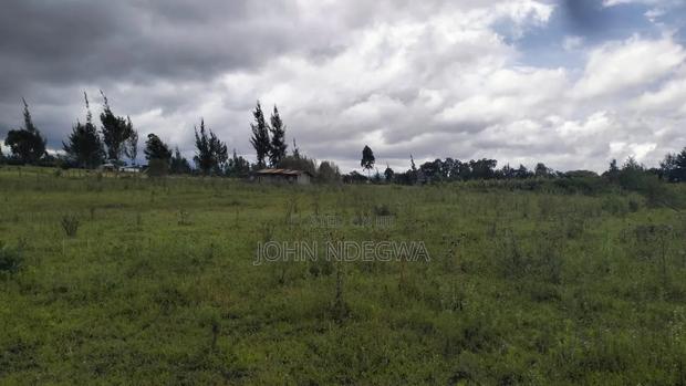 Naromoru 3 Acres - thumbnail 3