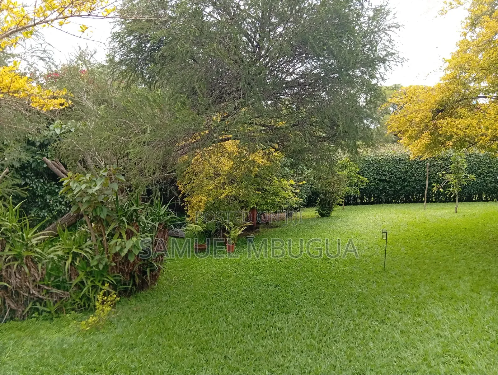 4bdrm House in Karen for rent