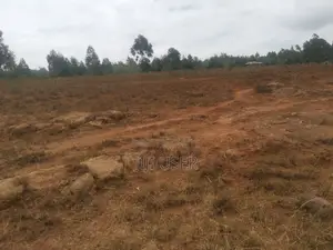 5 Acres in Ndiuni, Nguirubi