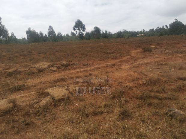 5 Acres in Ndiuni, Nguirubi - thumbnail 2