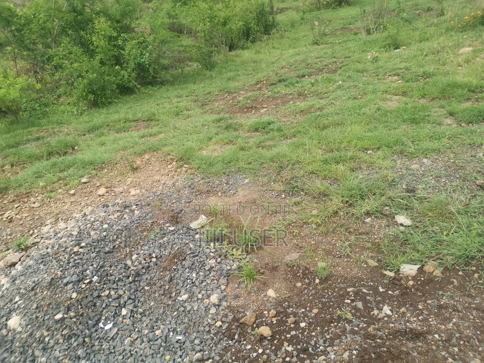 5 Acres in Ndiuni, Nguirubi