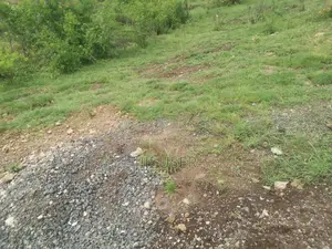 5 Acres in Ndiuni, Nguirubi