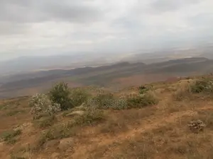 5 Acres in Ndiuni, Nguirubi