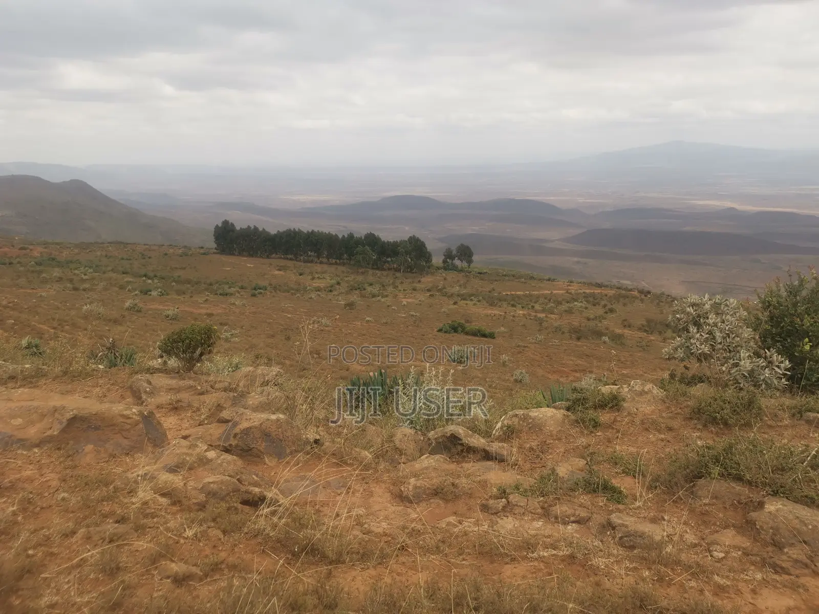 5 Acres in Ndiuni, Nguirubi