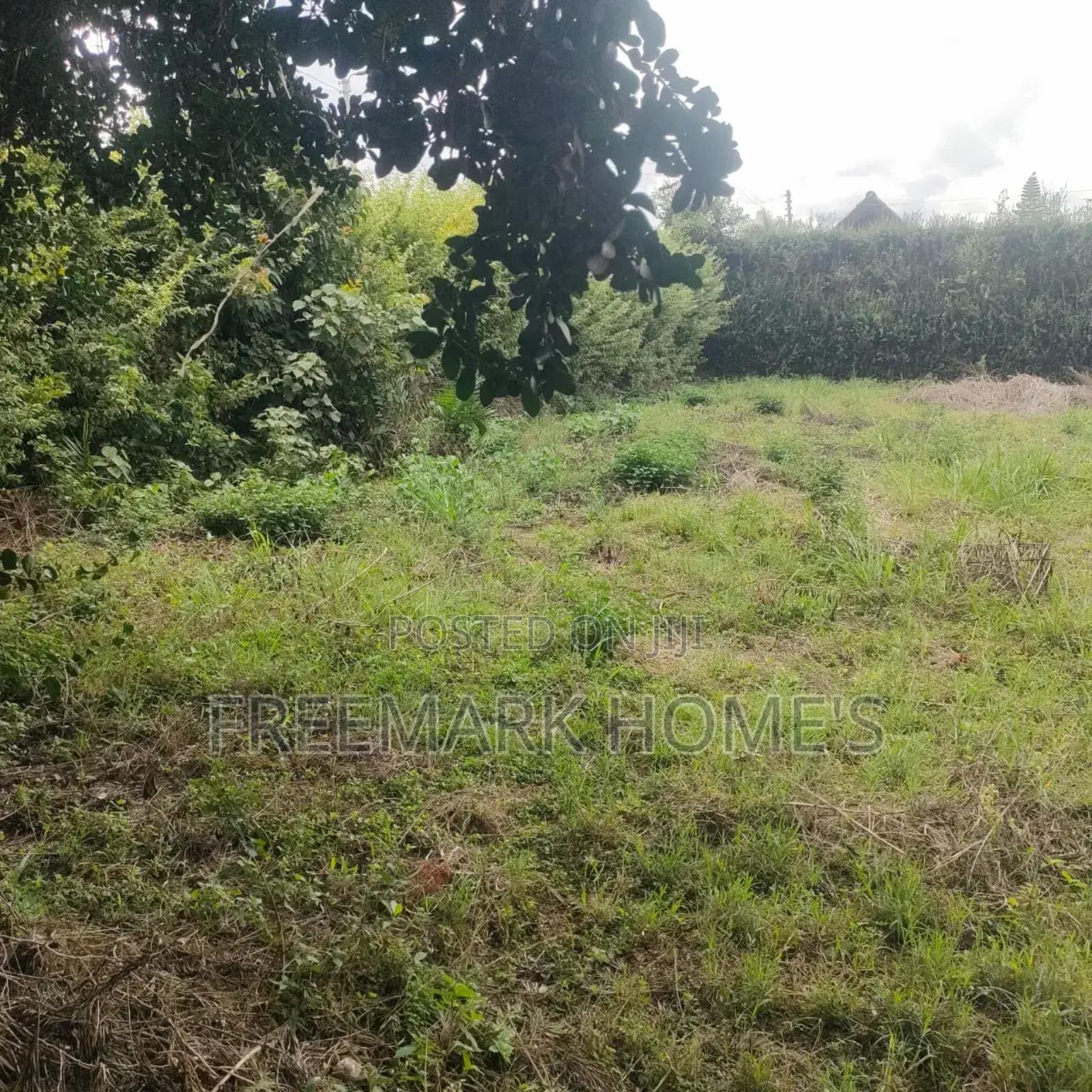 1 Acre on Sale