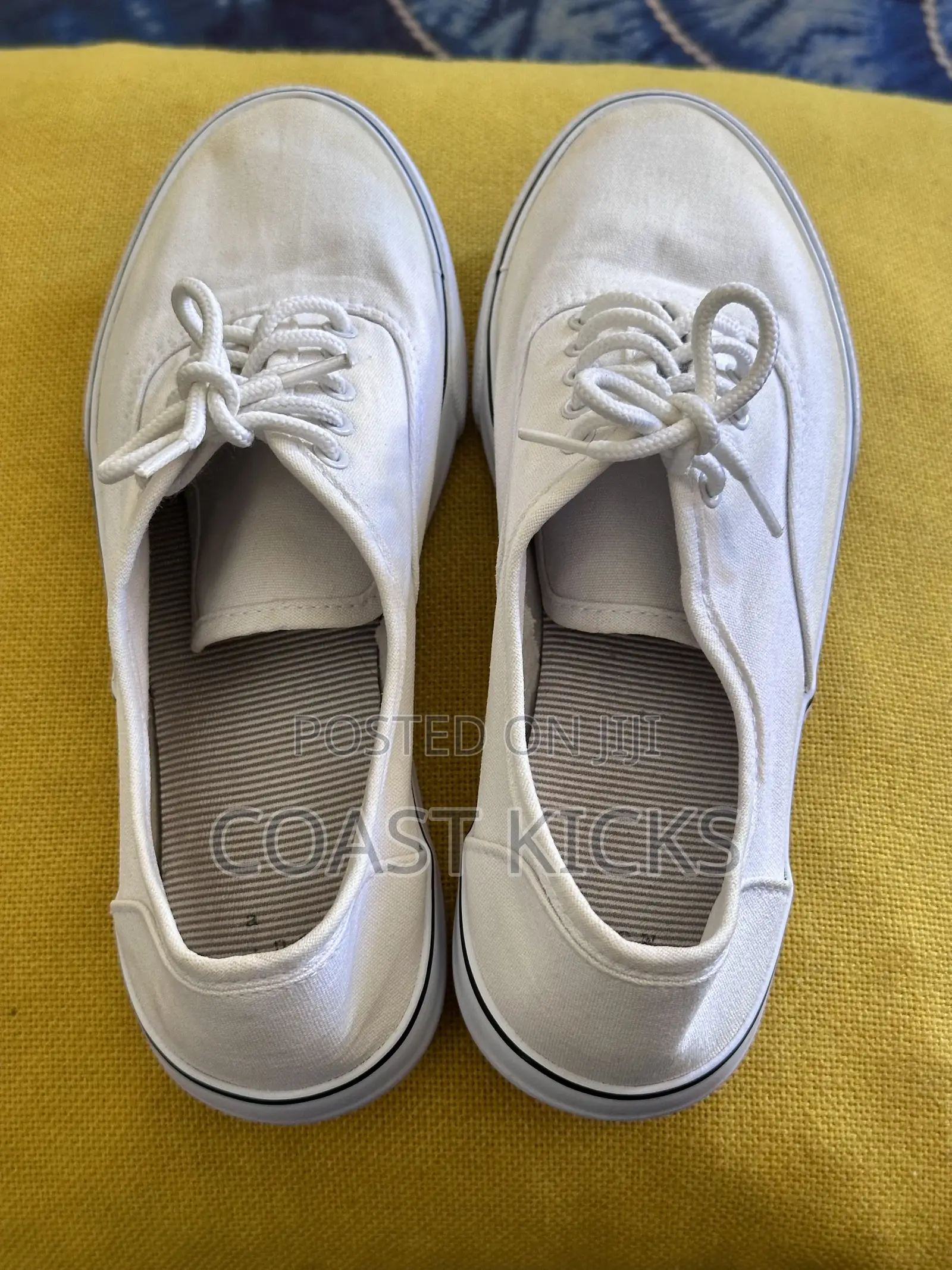 Plimsoll Shoes