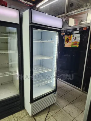 Exuk Uv Display Refrigerator 500litres