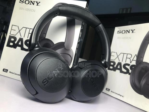 Wh-Xb910n Sony Extra Bass Noise-Cancelling Headphones