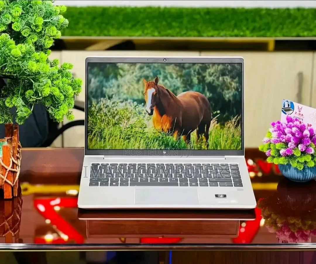 Laptop HP EliteBook 645 G9 8GB AMD Ryzen 5 SSD 256GB