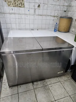 450 Silver Deep Freezer