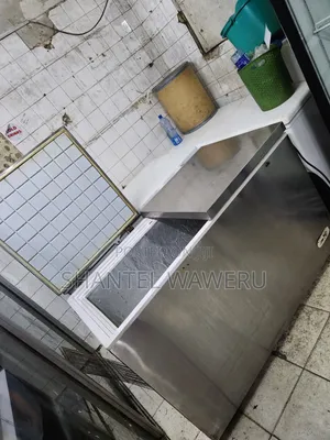 450 Silver Deep Freezer