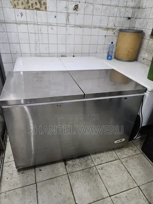 450 Silver Deep Freezer