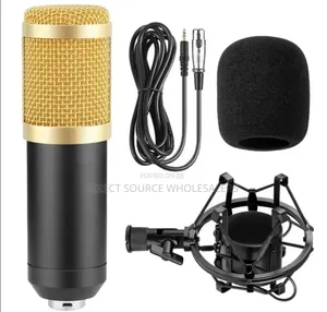 Bm800 Condenser Microphone – Clear Studio Sound, Affordable Price