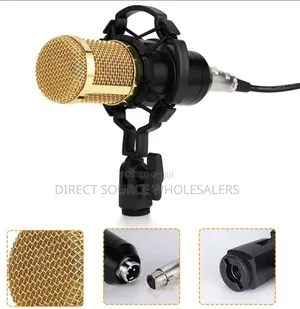 Bm800 Condenser Microphone – Clear Studio Sound, Affordable Price