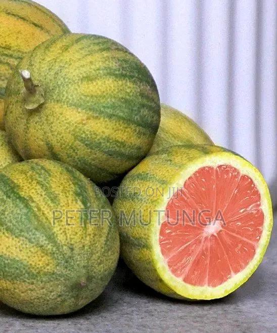 Variegated Lemon - thumbnail 2