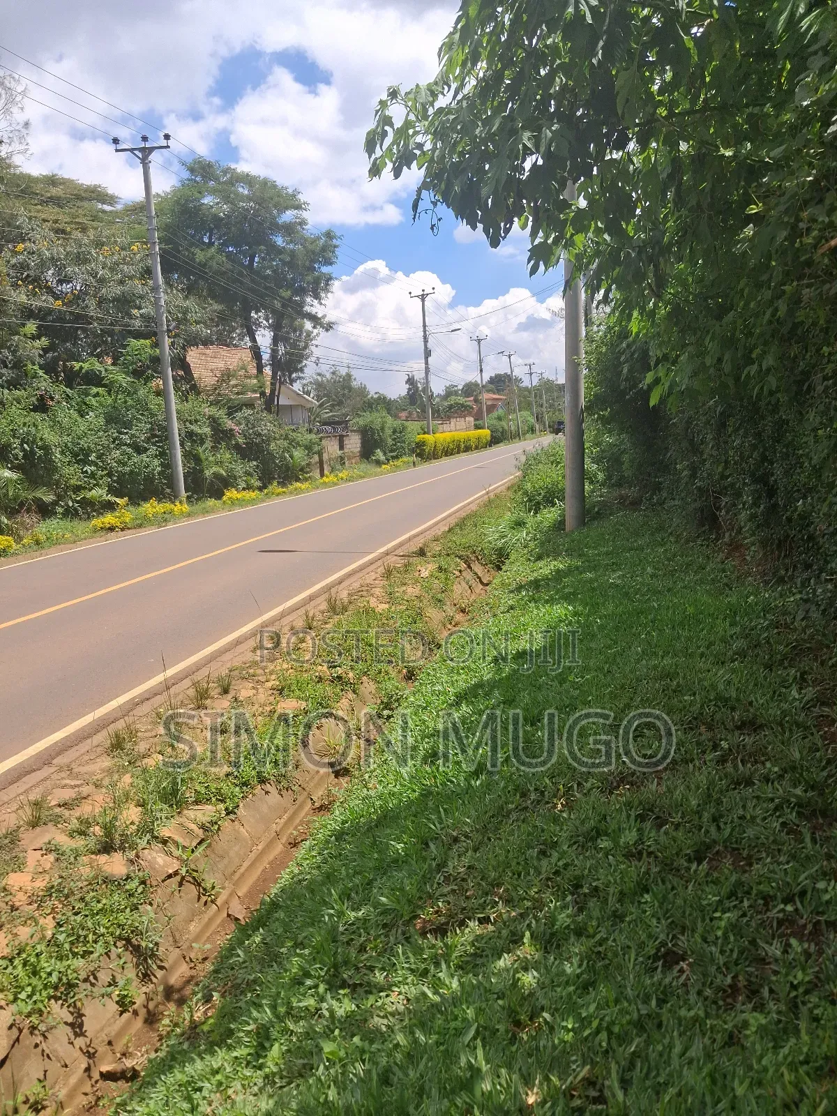 Ridgeways Prime Well Drained Red Soil 1/2 Acre