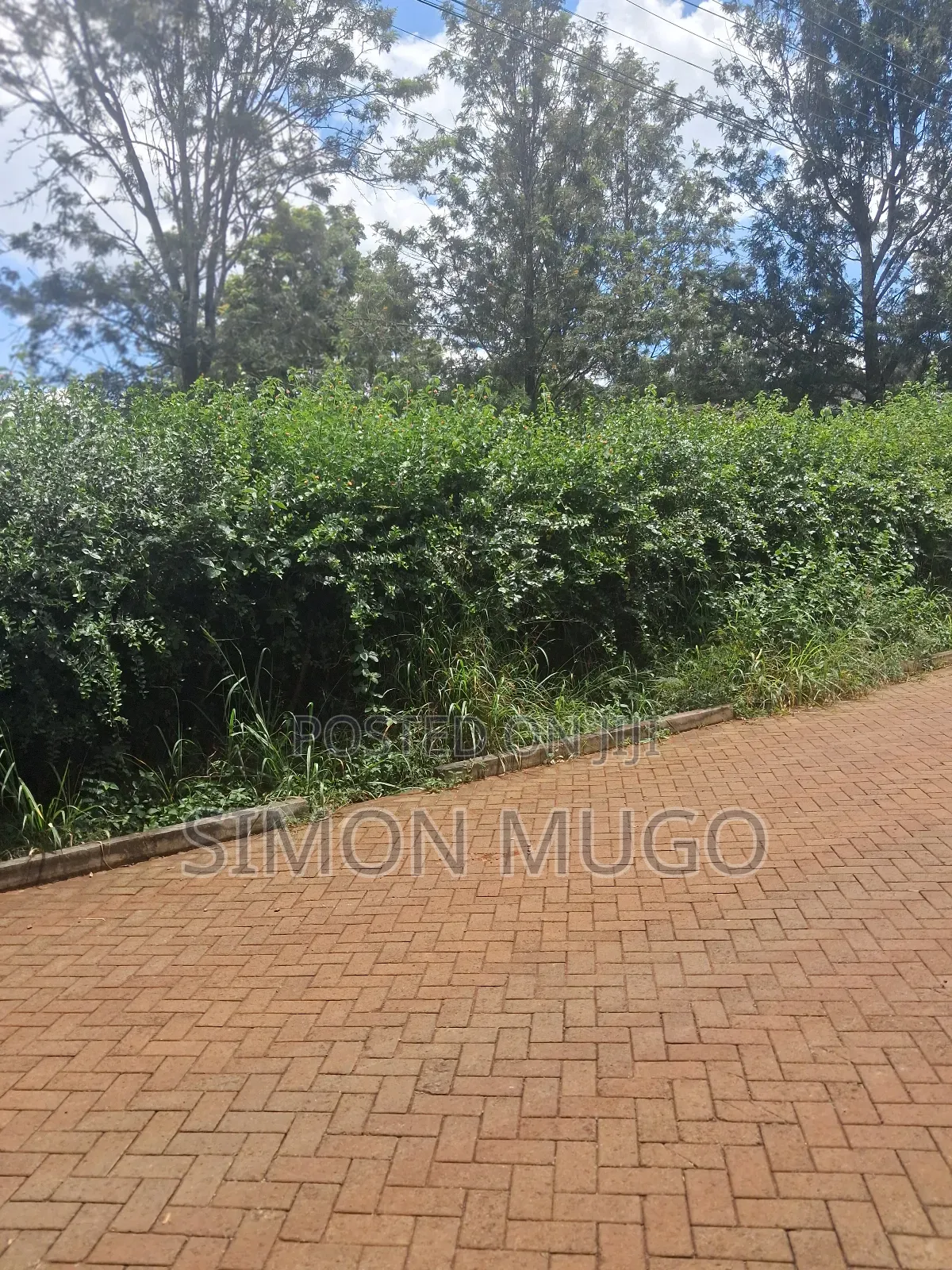Ridgeways Prime Well Drained Red Soil 1/2 Acre
