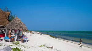 15 Acres White Sand Beach Front for Sale Watamu Jacaranda as Block