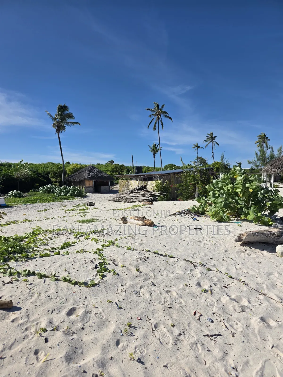 15 Acres White Sand Beach Front for Sale Watamu Jacaranda as Block