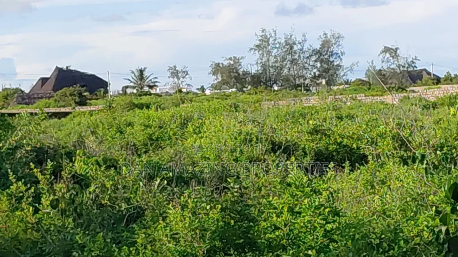 15 Acres White Sand Beach Front for Sale Watamu Jacaranda as Block