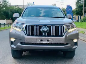 Toyota Land Cruiser Prado 2017 Gray