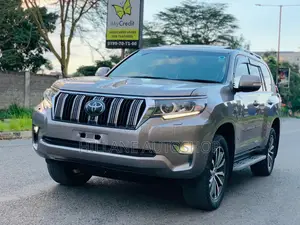 Toyota Land Cruiser Prado 2017 Gray