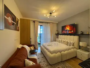 Furnished Studio Apartment in State House Area for rent