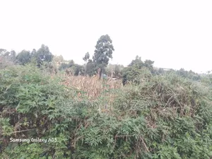 Prime Plot for Sale 100*100 at KSH 1m Ndeiya.