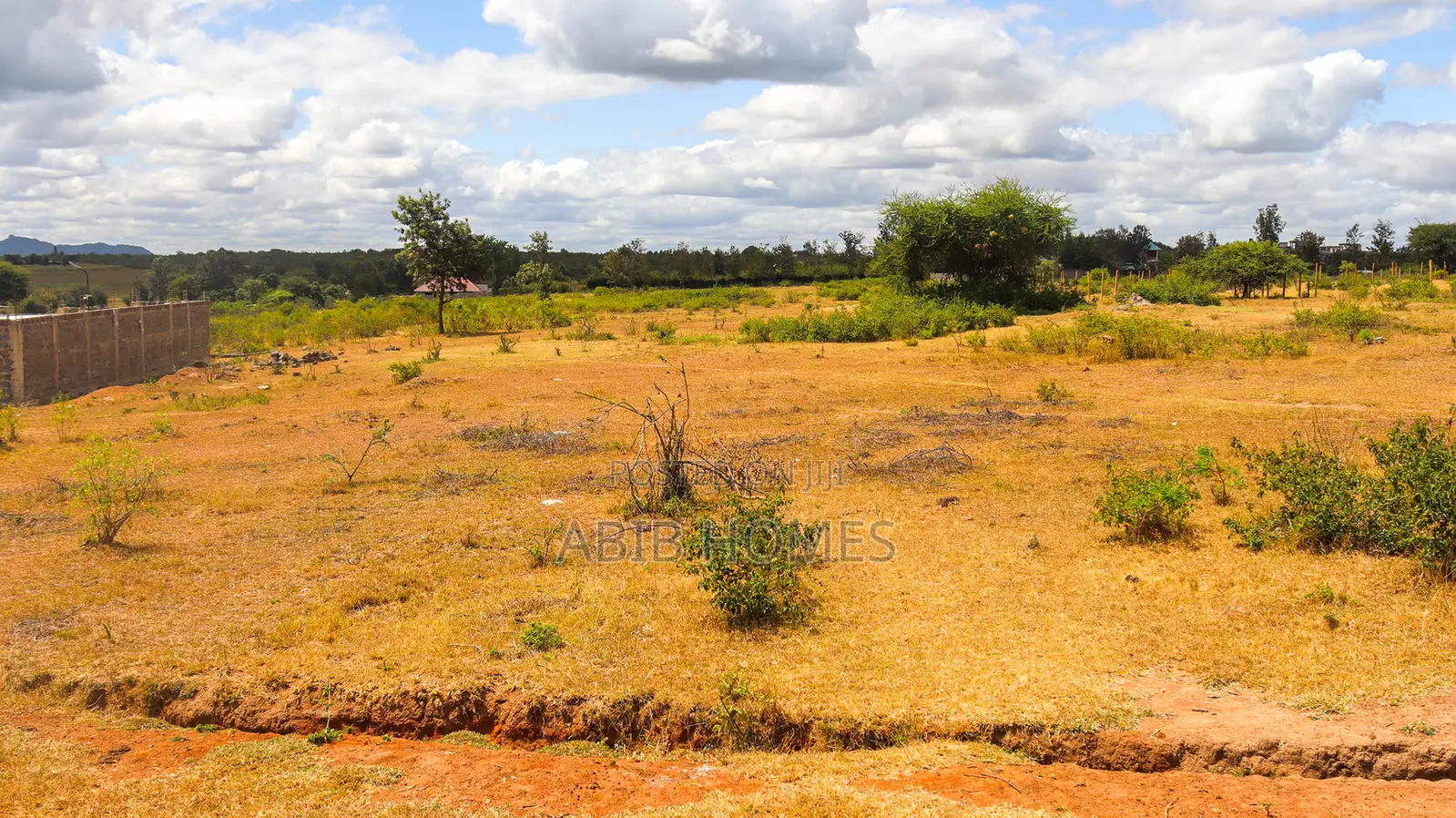Affordable 50x100 Plots for Sale in Goliba – (200m From Tarmac)