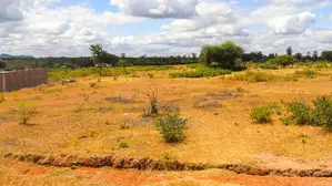 Affordable 50x100 Plots for Sale in Goliba – (200m From Tarmac)