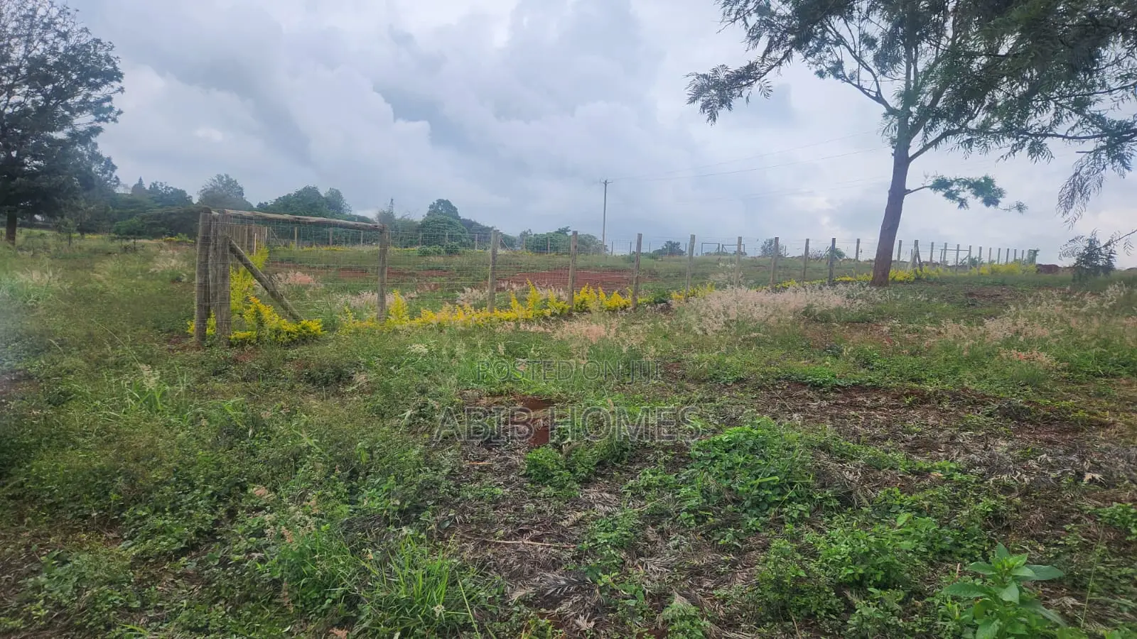 Prime 1/4 Acre for Sale on Kenyatta Road – Residential Zone | KSH 8.5m