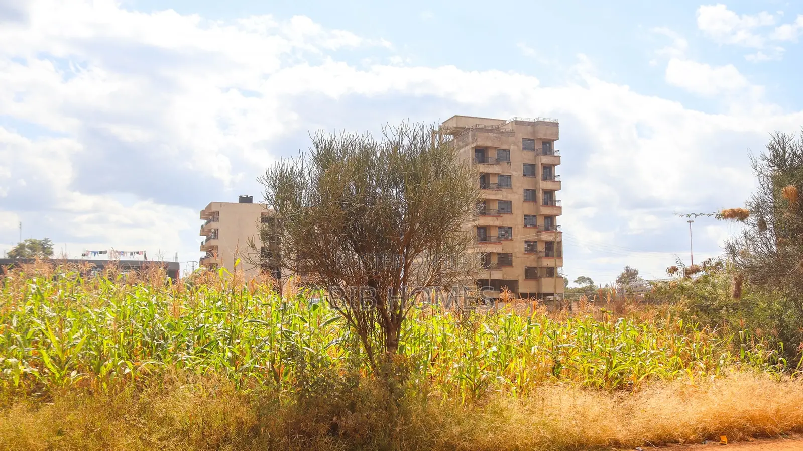 Prime 50x100 Plot for Sale in Thika Jomoko –