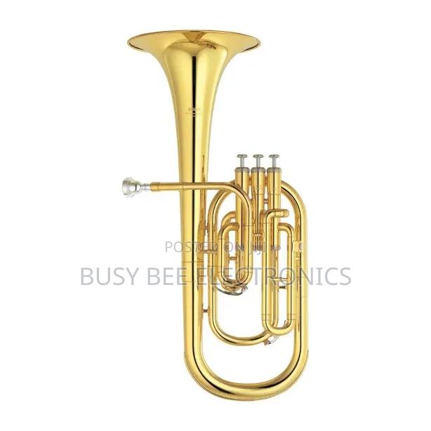 Alto/Tenor Horn - main view