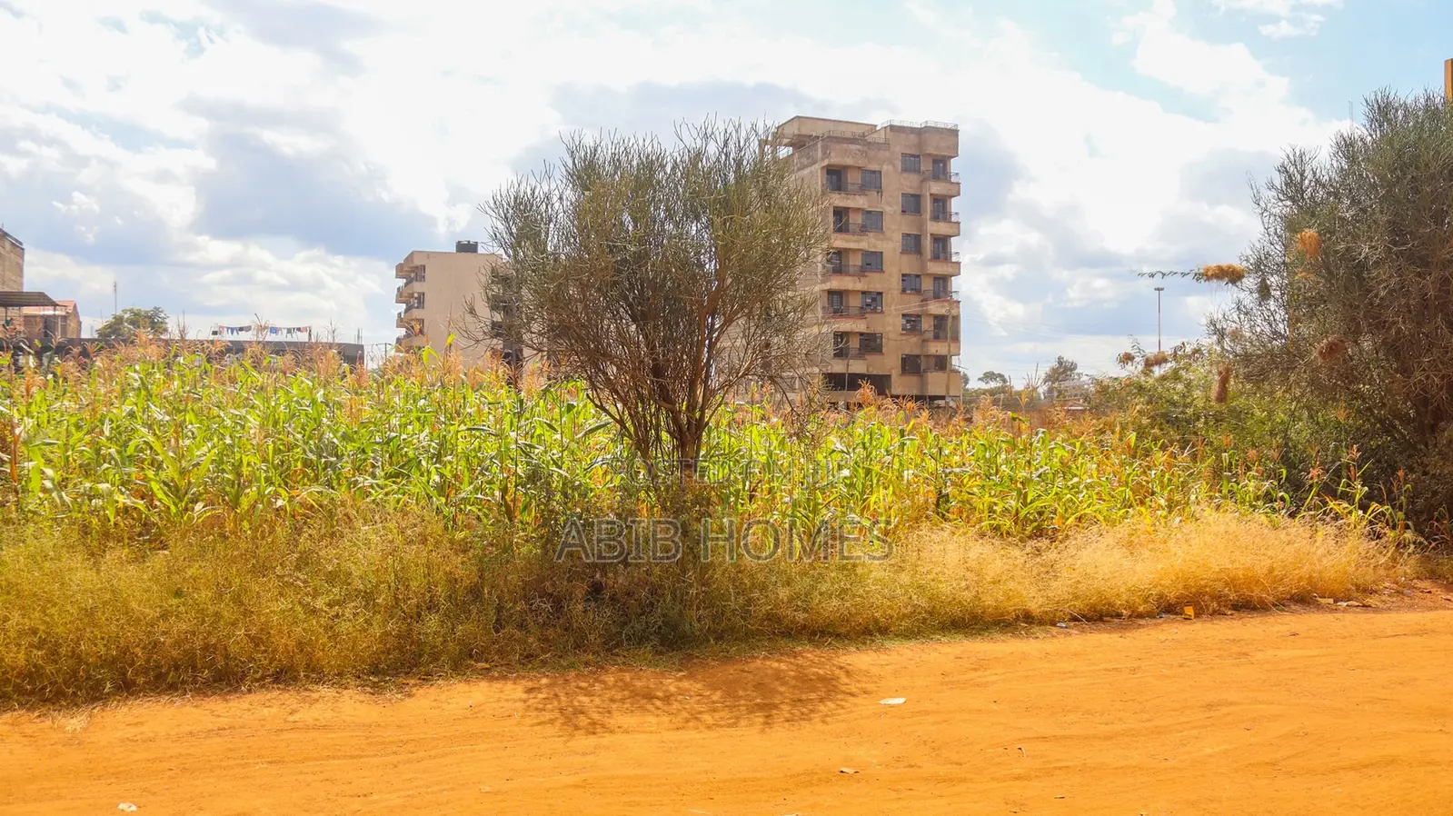 Hot Deal! 50x100 Plot in Jomoko Thika – Developed Area at 6.5m