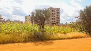 Hot Deal! 50x100 Plot in Jomoko Thika – Developed Area at 6.5m