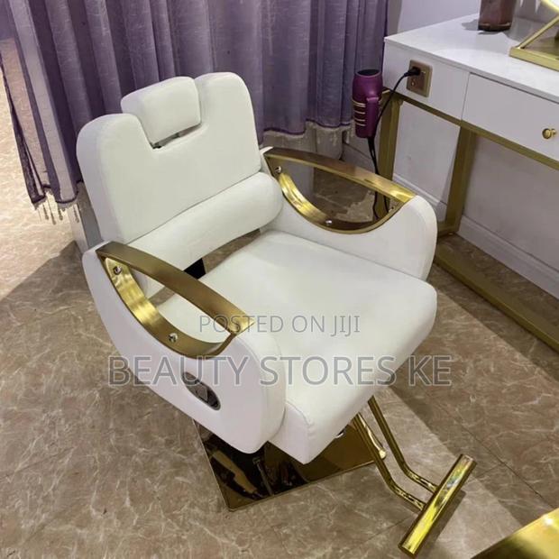 Reclining 935g White Gold Salon Chair/Salon Seat