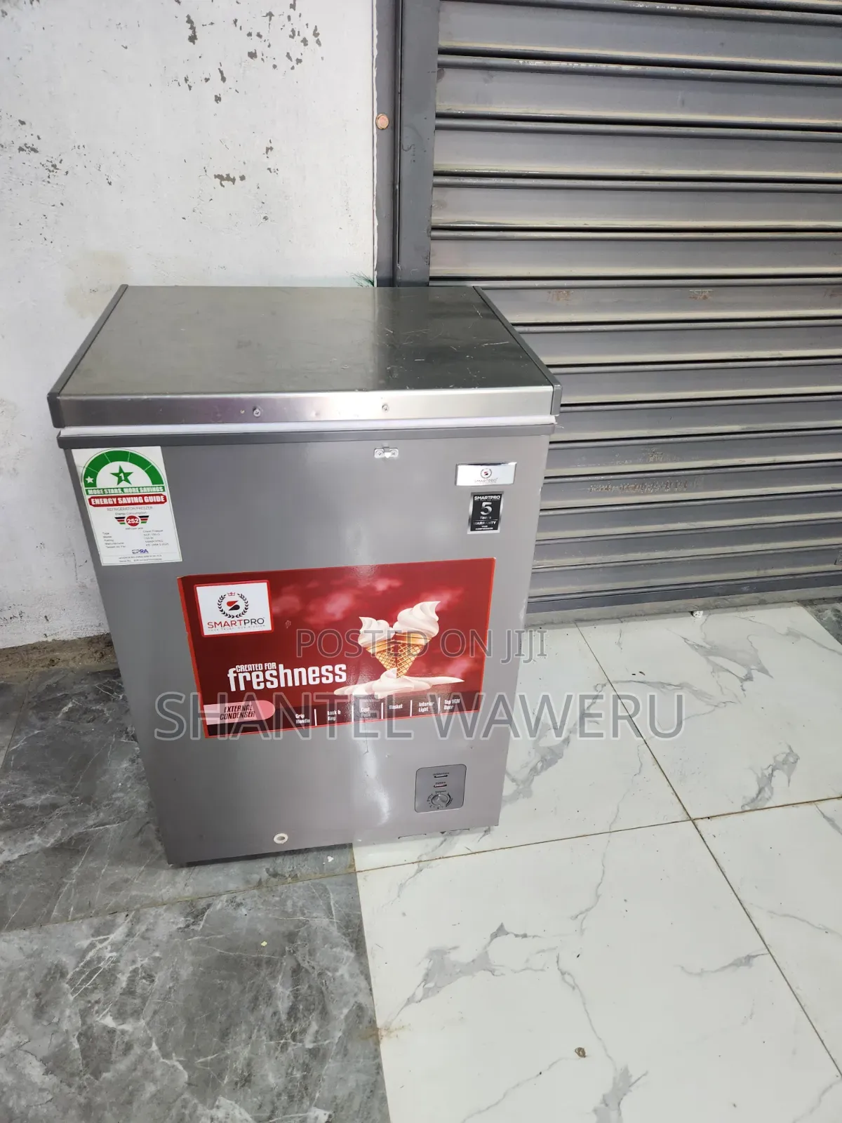 Fresh Ice Deep Freezer 100litres