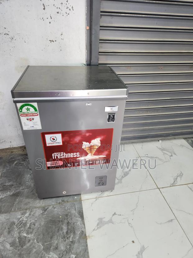 Fresh Ice Deep Freezer 100litres