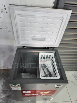 Fresh Ice Deep Freezer 100litres