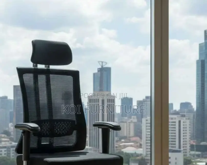 Office Chairs; Eofc44 Ergonomic High Back Office Chairs