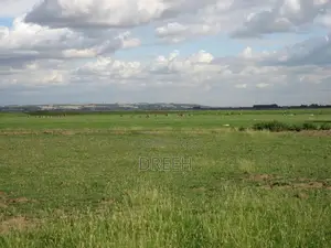 Angorom, Busia 50 by 100 Plot (No Broker)