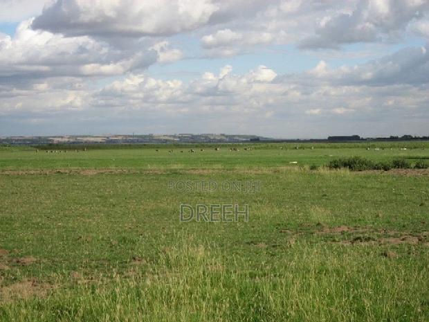 Angorom, Busia 50 by 100 Plot (No Broker)