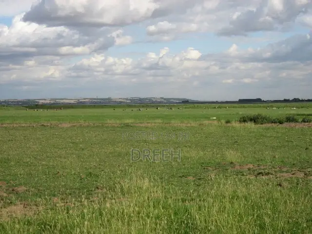 Angorom, Busia 50 by 100 Plot (No Broker)