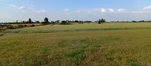 Angorom, Busia 50 by 100 Plot (No Broker)