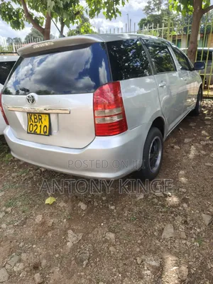Toyota Wish 2007 Silver